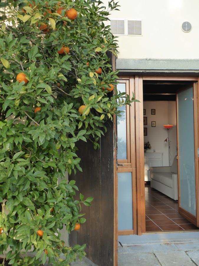 Villa Da ヴィンチ エクステリア 写真